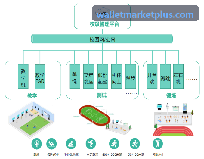 Trust Wallet持仓藏品